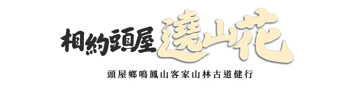 頭屋鄉鳴鳳山古道健行活動